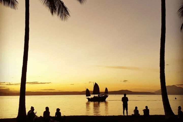 a group of palm trees next to a body of water