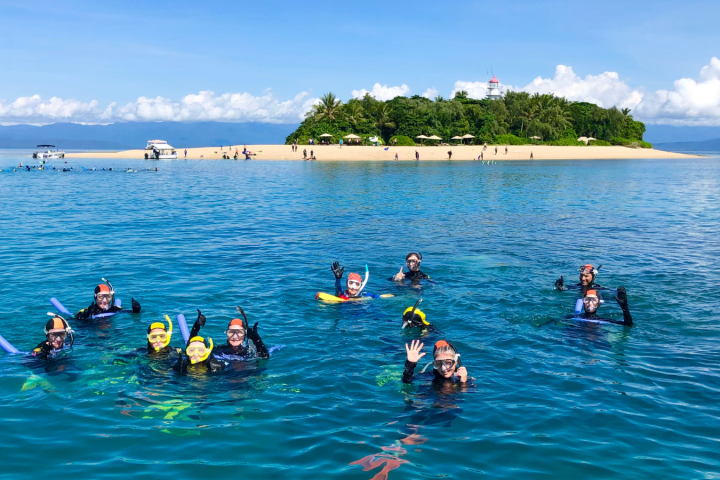 a group of people swimming in a body of water